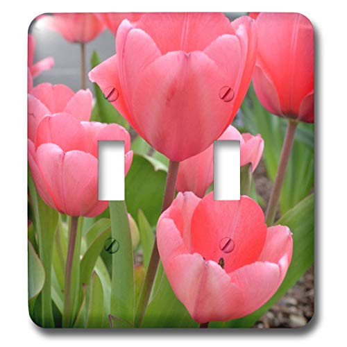 3dRose lsp_22955_2 Pink Tulips Double Toggle Switch