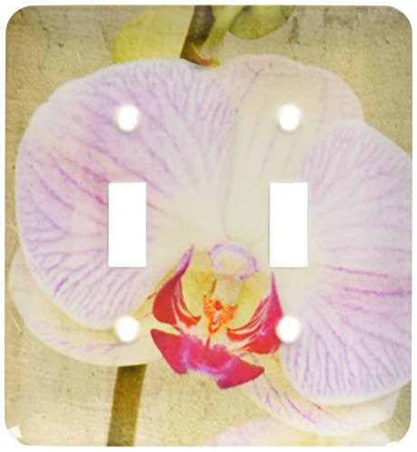3dRose lsp_37915_2 Pink Orchid Petal-Flowers-Photography-Macro Double Toggle Switch