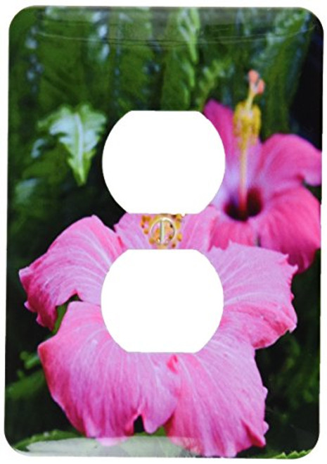 3dRose lsp_22669_6 Pink Hibiscus 2-Plug Outlet Cover