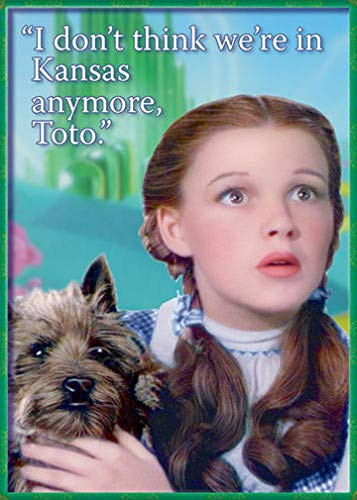 Ata-Boy Wizard of Oz Dorothy and Toto 2.5" x 3.5" Magnet for Refrigerators and Lockers