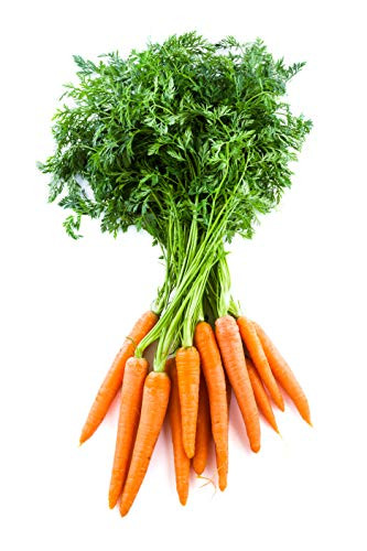 Tendersweet Carrot Seeds  1200 Heirloom Seeds Per Packet  Non GMO Seeds