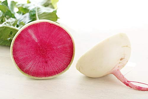 Watermelon Radish Seeds  120 Heirloom Seeds Per Packet  Non GMO Seeds