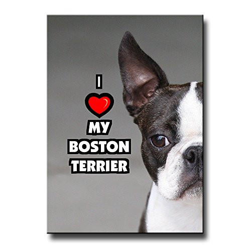 Boston Terrier I Love My Fridge Magnet