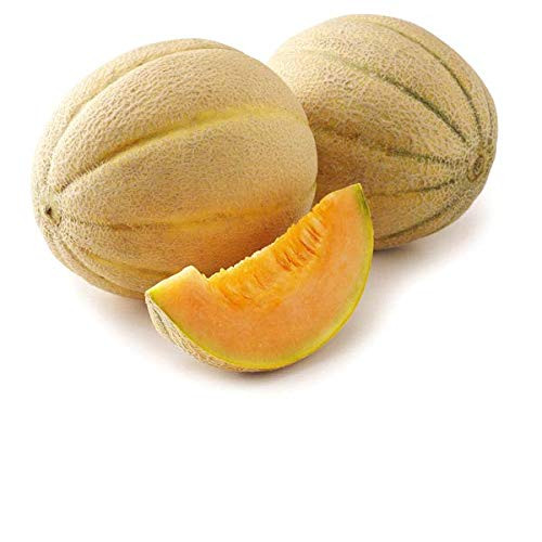 Honey Rock Cantaloupe Seeds  50 Heirloom Seeds Per Packet  Non GMO Seeds