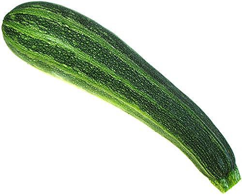 Italian Striped Zucchini Summer Squash Seeds  50 Heirloom Seeds Per Packet  Non GMO Seeds