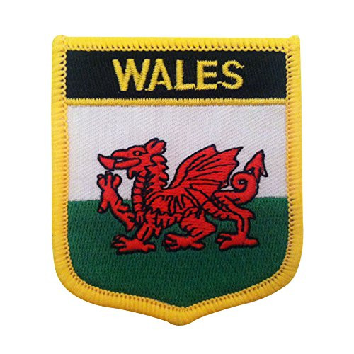 Official Flag of Wales  UK  - Y Ddraig Goch Red Dragon Synmbol Morale Tactical Iron-On Sew-On Badge Patch  Welsh Crest  2.75" x 2.35"