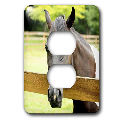 3dRose lsp_27263_6 Horse Animals Fence Brown Outlet Cover  Multi-Color
