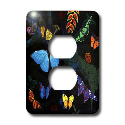 3dRose lsp_3221_6 RAINFOREST BUTTERFLIES 2 Plug Outlet Cover