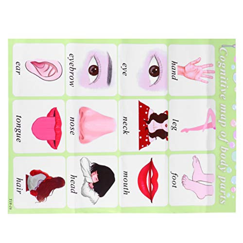 NUOBESTY Kindergarten Educational Posters Sets Body Learning Poster Wall Stickers for Nursery Homeschool Classroom Preschool NUOBESTY Kindergarten Educational Posters Sets Body Learning Poster Wall Stickers for Nursery Homeschool Classroom Preschool