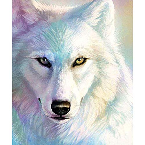 DIY 5D Diamond Painting Kits for Adults Full Round Drill Embroidery Pictures Arts Crafts for Home Wall Decor White Wolf Head 11.8x15.7in 1 Pack by witfox