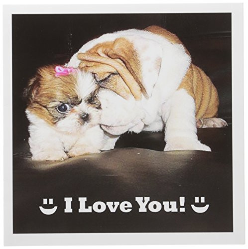 3dRose English Bulldog I Love You - Greeting Cards  6 x 6 inches  set of 12  gc_40636_2