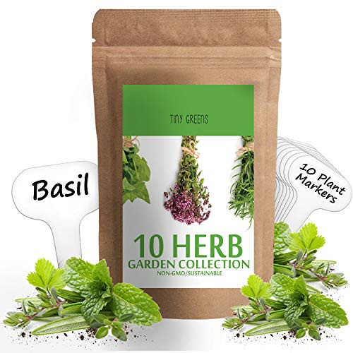 Herb Seeds Vault [10 Variety - 3000 Seeds]- Heirloom Non GMO - Herbs Seeds for Planting for Indoor and Outdoor | Herb Garden Seed Pack | Thyme, Mint, Chives, Dill, Cilantro, Parsley, Basil, Marjoram