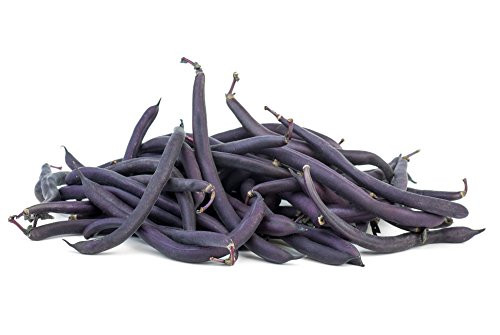 Sow No GMO Bean Bush Royal Burgundy Stringless Deep Purple Snap Beans Non GMO Heirloom Garden Vegetable 50 Seeds
