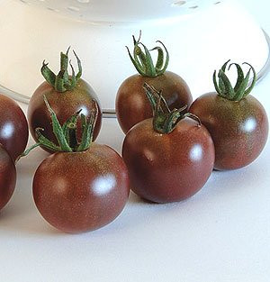 Tomato Black Cherry Great Garden Heirloom Vegetable by Seed Kingdom 50 Seeds