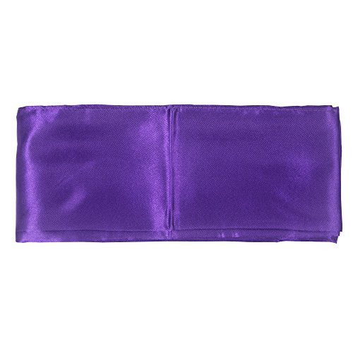 Tiger Claw Kung Fu  Kungfu  Purple Sash