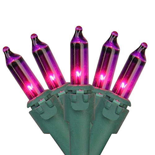 Northlight 35-Count Purple Mini Christmas Lights  7ft Green Wire