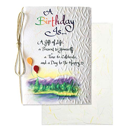 Blue Mountain Arts Greeting Card A Birthday Is Is the Perfect Happy Birthday Message for a Family Member  Friend  or Loved One to Celebrate His or Her Special Day  by Donna Fargo  HW081