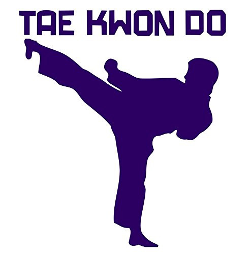 BOSTON STICKS' Karate Martial Arts Taekwondo White Sticker Decal Car Window Wall Macbook Notebook Laptop Sticker Decal  dark purple
