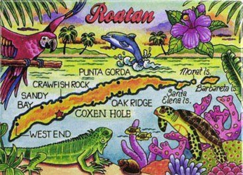 World By Shotglass Roatan Caribbean Fridge Collector's Souvenir Magnet 2.5" X 3.5" World By Shotglass Roatan Caribbean Fridge Collector's Souvenir Magnet 2.5" X 3.5"