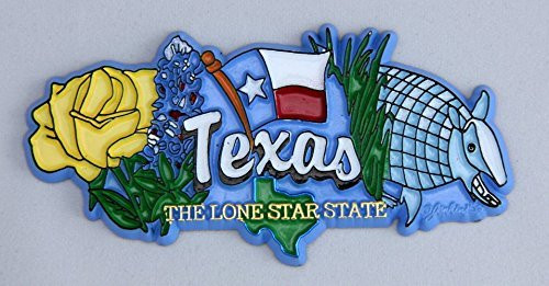 Texas State Elements Fridge Collectible Souvenir Magnet