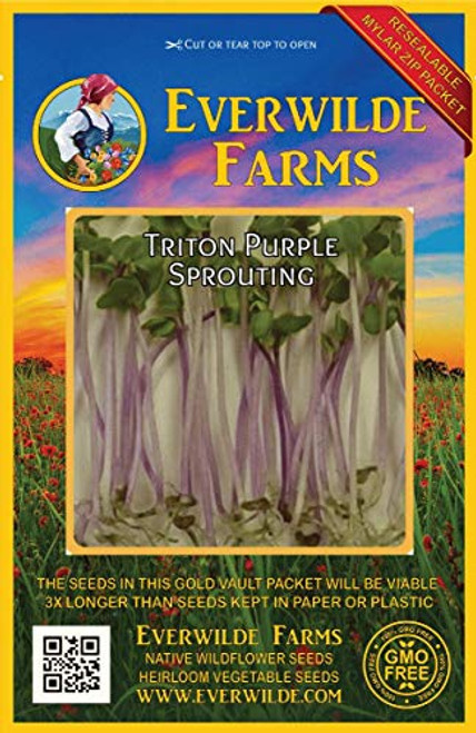 Everwilde Farms - 500 Triton Purple Sprouting Radish Seeds - Gold Vault Jumbo Seed Packet Everwilde Farms - 500 Triton Purple Sprouting Radish Seeds - Gold Vault Jumbo Seed Packet
