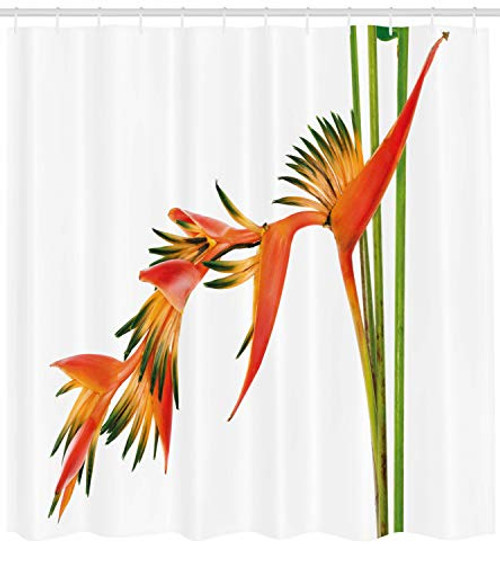 Ambesonne Floral Shower Curtain, Exotic Tropical Flowers on Branch Colorful Nature Jungle Garden Theme Image Print, Fabric Bathroom Decor Set with Hooks, 75 Inches Long, Green Orange