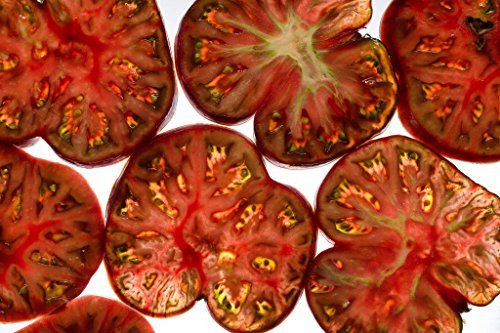 Tomato Black Sea Man Great Heirloom Garden Vegetable by Seed Kingdom 100 Seeds