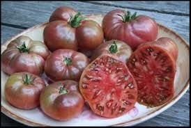 Tomato Cherokee Purple Great Garden Heirloom Vegetable 100 Seeds