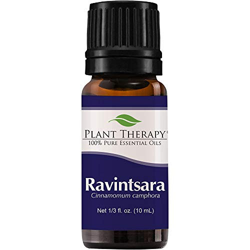 Plant Therapy Ravintsara Essential Oil 10 mL 1 3 oz 100% Pure Undiluted Therapeutic Grade Plant Therapy Ravintsara Essential Oil 10 mL 1 3 oz 100% Pure Undiluted Therapeutic Grade
