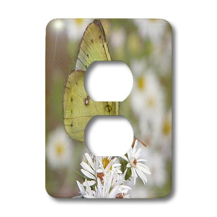 3dRose lsp_12316_6 Yellow Butterfly on Wild Daisies 2 Plug Outlet Cover