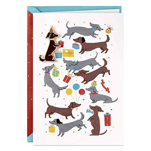 Hallmark Signature Birthday Card with Removable Pin Dachshunds Hallmark Signature Birthday Card with Removable Pin Dachshunds