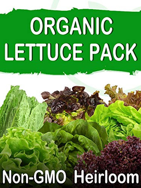 SavvyGrow Organic Heirloom Lettuce Seeds (10 Varieties)  Survival Garden Seeds for Planting - Open Pollinated, 85% Plus Germination Rate, Non-GMO & Source in USA Vegetable Seed (Organic)