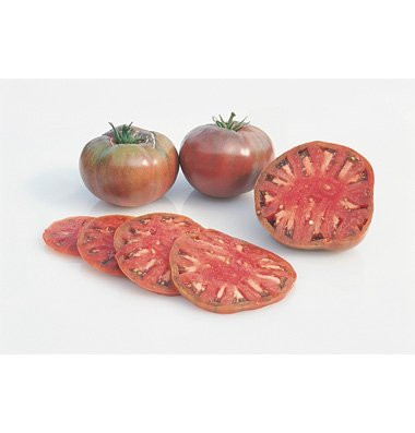 Organic Cherokee Purple Heirloom Tomato 50Plus Seeds