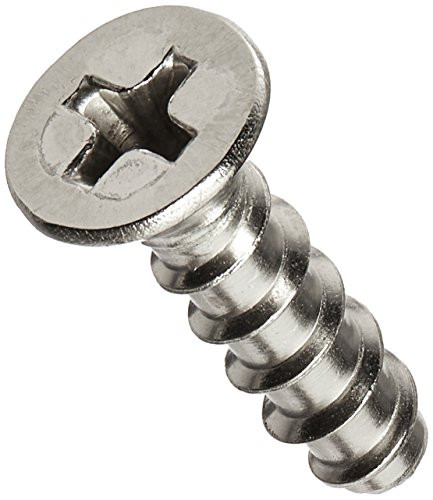 Hayward SPX1425Z32 Grate Screw Replacement for Select Hayward Fittings  Pumps and Filters  Set of 2