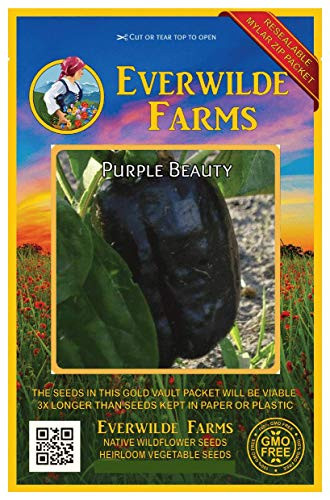 Everwilde Farms - 25 Purple Beauty Sweet Pepper Seeds - Gold Vault Jumbo Seed Packet