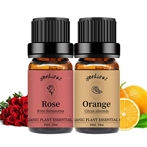 Yethious Rose Orange Essential Oil Set Organic Pure Therapeutic Grade Aromatherapy Massage Oils 2 Pack Yethious Rose Orange Essential Oil Set Organic Pure Therapeutic Grade Aromatherapy Massage Oils 2 Pack