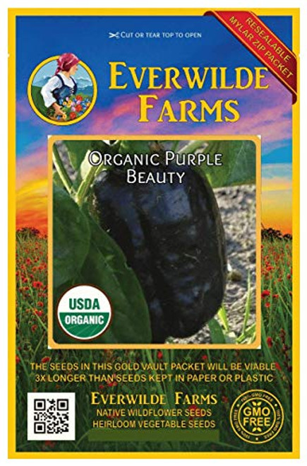 Everwilde Farms - 12 Organic Purple Beauty Sweet Pepper Seeds - Gold Vault Packet