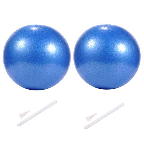 Myonly Physical Therapy Exercise Balls Mini Exercise Ball with Pump Small Bender Ball for Stability Barre Pilates Yoga Deep Tissue Massage Core Training and Physical Therapy Blue 2PCS Myonly Physical Therapy Exercise Balls Mini Exercise Ball with Pump Small Bender Ball for Stability Barre Pilates Yoga Deep Tissue Massage Core Training and Physical Therapy Blue 2PCS