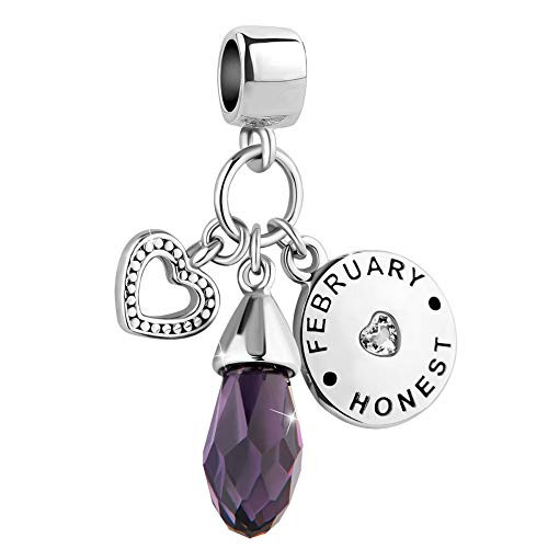 ShinyJewelry Purple Teardrop February Birthstone Heart Love Honest Birthday Charm Bead for Bracelet ShinyJewelry Purple Teardrop February Birthstone Heart Love Honest Birthday Charm Bead for Bracelet