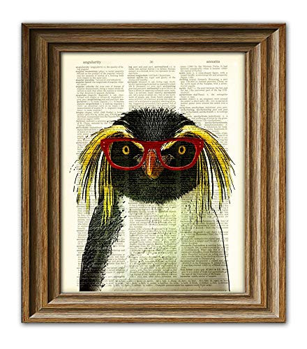 Crested Penguin Smarty Pants Penguin With Red Glasses Illustration Beautifully Upcycled Dictionary Page Book Art Print