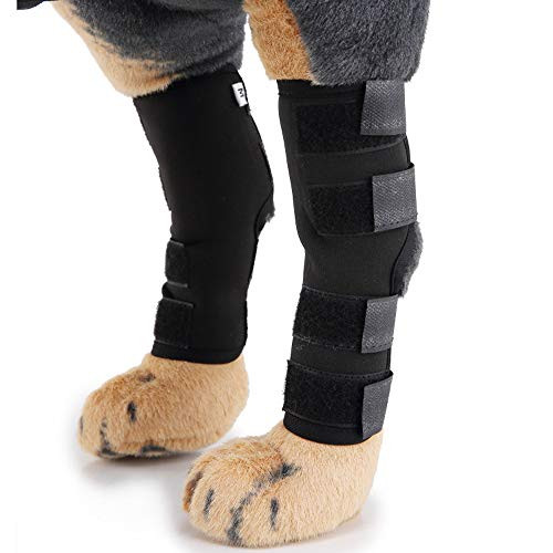 Canine Dog Hock Brace Rear Leg Joint Wrap Protects Dog Rear Leg Braces Rehab Knee Protector Heals and Prevents Injuries and Sprains Helps with Loss of Stability Caused by Arthritis 1 Pair Black Canine Dog Hock Brace Rear Leg Joint Wrap Protects Dog Rear Leg Braces Rehab Knee Protector Heals and Prevents Injuries and Sprains Helps with Loss of Stability Caused by Arthritis 1 Pair Black