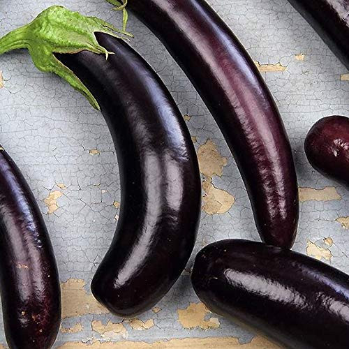 Little Finger Purple Eggplant Seeds - 250 Mg Packet ~55 Seeds - Heirloom  Open Pollinated  Non-GMO  Farm  and  Vegetable Gardening Seeds