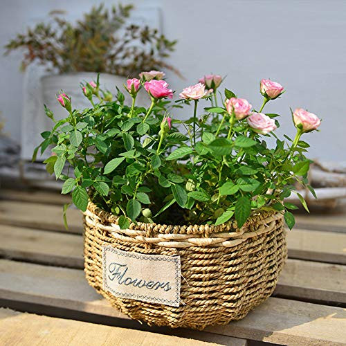 Natural Seagrass Plant Pots Indoor Outdoor Plant Basket Flower Pots Cover Garden Woven Plant Pots Containers