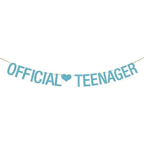 WeBenison Official Teenager Banner Happy 13th Birthday Bunting Teenager's 15th 16th Birthday Party Decoration Supplies Blue Glitter