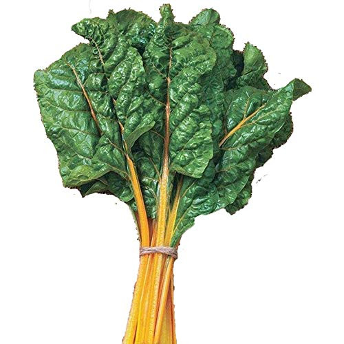 UtopiaSeeds Orange Fantasia Swiss Chard Seeds - Beautiful and Delicious Leafy Greens