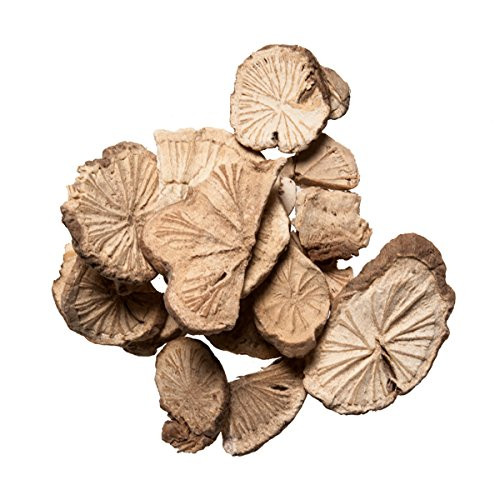 Stephania Root  Fang Ji  Han  Chinese Herb - Suitable to Dispel Wind - Drain Dampness or Relieve Pain - Chinese Herb 1 Ounce - Plum Dragon Herbs