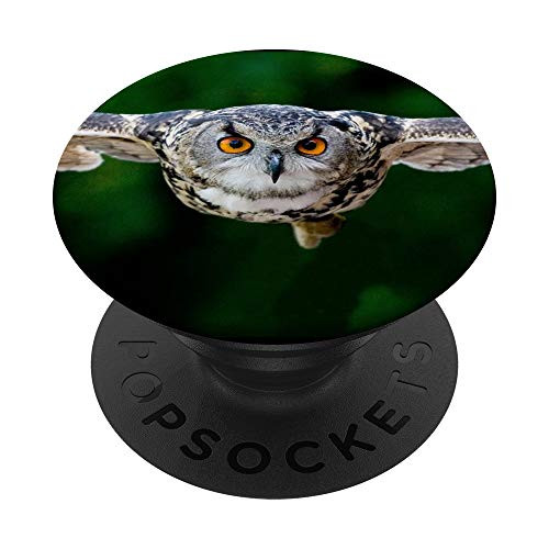 Cute Owl Decoy Design Nocturnal Bird Animal Orange Big Eyes PopSockets PopGrip  Swappable Grip for Phones  and  Tablets