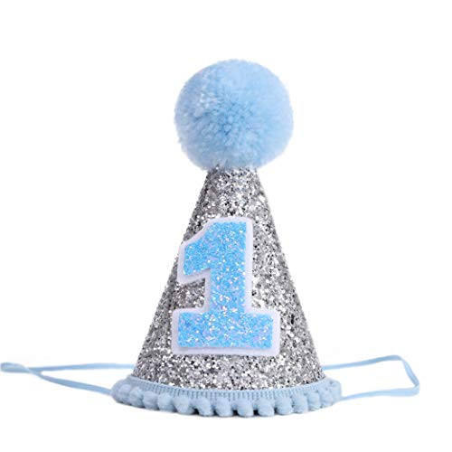 1st Birthday Hat for The Baby Party - First Birthday Mini Cone Hat  Photo Booth Props  and Background  1st Birthday Crown  Smash Cake Props  1st Birthday Party Hat  Glittering Hat.  Silver Blue 1
