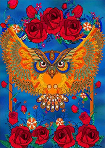 DIY 5D Diamond Painting Kit  Cross Stitch Crystal Embroidery Rhinestones Craft 5D Drilled Resin Diamond Painting by Number Kits  Owl  12X16Inch