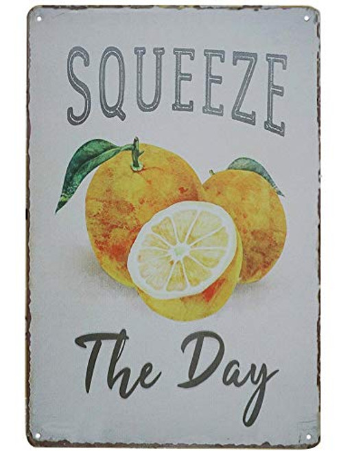 SIGNT Tin Signs Vintage Metal Designs Squeeze The Day Funny Retro Bar Sign Country Home Decor Outdoor Yard Field Pub Cafe Wall Art Poster 8X12Inch